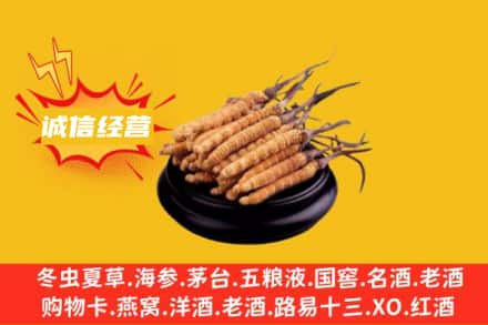 鹤岗萝北县回收冬虫夏草